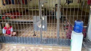 Polri Didesak Usut Dugaan Kasus Perbudakan Bekas Bupati Langkat