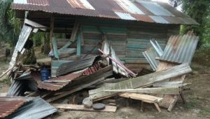 Gajah Liar Rusak Tiga Rumah Warga