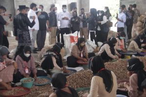 Pemprov Jambi Dorong Pinang Jadi Komoditi Ekspor Utama