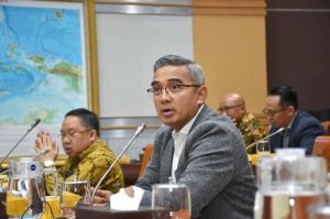 Anggota DPR RI : Pemda Jangan Hambat Transformasi Digital