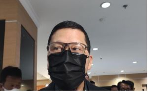 DPR RI Ingatkan Pemda Terkait Penyelesaian Honorer 2022