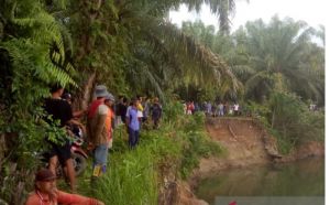  Nasib  Warga profesi Pencari Lokan Dimakan Buaya  