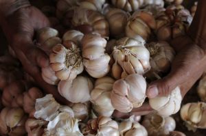 Harga Bawang Putih dan Bahan Pokok Lainnya Mengalami Kenaikan