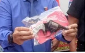 Puluhan Senpi dan Amunisi Punya Masyarakat Disita Polisi 