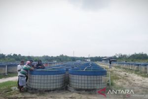 Aset PT DHD Disita Terkait Penipuan Investasi Budidaya Lele