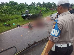 Mobil Carry Pick Up vs Tronton, Adu Kambing Tewaskan Satu Orang Sopir