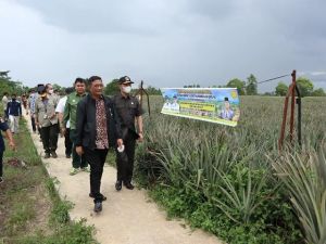DPR RI Minta Kementerian Panggil Perusahaan yang Berkonflik 