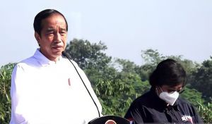 Presiden Joko Widodo Targetkan 360 Juta Bibit Dari 30 Pusat Persemaian