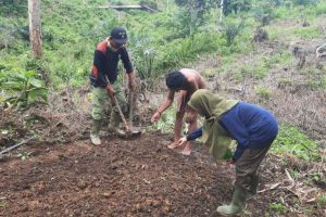 Jumlah Orang Rimba 