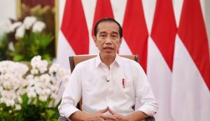 Jokowi Bahas Kerja Sama-Investasi Dengan UEA Usai ke Ukraina-Rusia