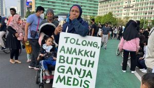 DPR: Perlu Kajian Komprehensif Terkait Usulan Ganja Untuk Medis