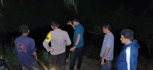 Seorang Wanita Diterkam Buaya Saat Buang Air di Sungai
