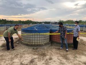 Tiga Orang Lagi Jadi Tersangka Baru Kasus Investasi Bodong Budidaya Lele