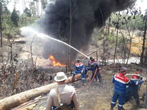Sumur Minyak Illegal Semburkan Gas di Lahannya, Polisi Bakal Panggil Manajemen PT AAS