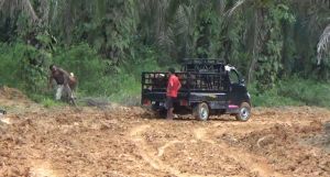 Jalan yang Dibangun Satgas TMMD Kodim Jambi Sudah Selesai 91 Persen