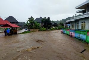 Dinilai Jadi Pemicu Banjir, Perambahan Hutan di Lempur Harus Ditindak 