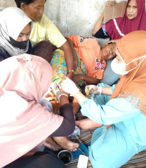 Nenek 61 Tahun di Tanjabtim Diterkam Buaya Saat Akan Mandi