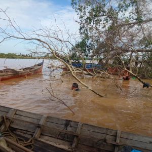 Pompong Muatan Pinang Karam di Muarasabak Ulu, Satu Tewas
