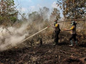 Karhutla Mengancam, Jambi Masuki Siklus 4 Tahunan El Nino