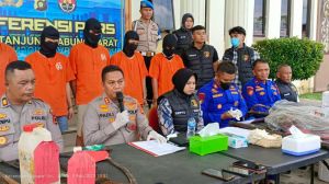 Penyelundupan Baby Lobster Rp7,5 Miliar ke Singapura Digagalkan