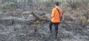 229 Hektare Lahan di Jambi Terbakar, Paling Luas di Batanghari