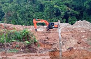 Aktivitas PETI dengan Eksavator di Batu Kerbau Bungo Kembali Marak