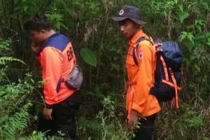 Warga Kerinci Dilaporkan Hilang Usai Pamit Cari Sayur di Hutan