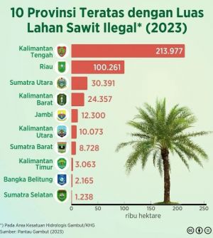 Jambi Masuk 5 Besar Luas Lahan Sawit Ilegal, Pemerintah Akan Putihkan 3,3 Juta Hektar Kebun Ilegal