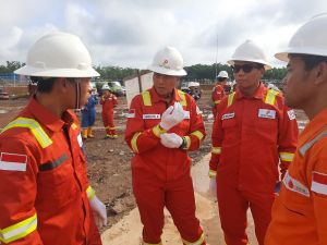 Sidak di Sumur Minyak Seleraya Belida, Ini Temuan SKK Migas