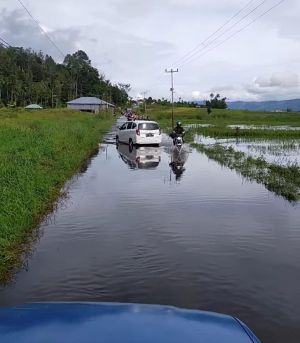 Dampak Bencana Banjir Kerinci & Sungaipenuh, Ratusan Hektare Sawah dan Lahan Pertanian Gagal Panen
