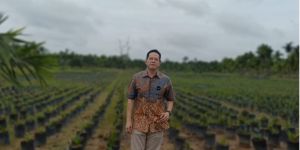 Ihsan Yunus Subsidi Bibit Sawit Unggulan dan Bersertifikat Untuk Petani Jambi