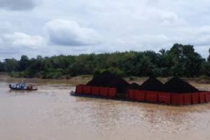 Pemprov Jambi Siapkan Skema Operasional Batu Bara dengan Optimalisasi Jalur Sungai