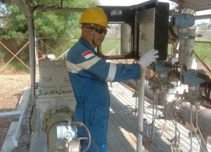 SKK Migas Tetapkan Standarisasi Pengukuran CO2 Pada Program CCS/CCUS, Begini Prosesnya
