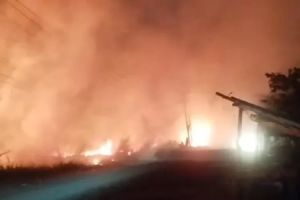 Sudah 269 Hektar Lahan di Jambi Terbakar, Terluas di Sarolangun