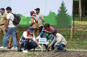 Komitmen Hijau untuk Masa Depan Indonesia, PHR Zona 1 Tanam 21.156 Pohon