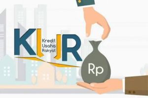 Penyaluran KUR di Jambi Triwulan I 2025 Calai Rp1,61 Triliun, Paling Banyak di Merangin