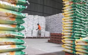 Bulog Pastikan Stok Beras Untuk Penuhi Kebutuhan Jambi Tujuh Bulan ke Depan