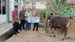 Perumdam Tirta Mayang Serahkan 22 Sapi Untuk Kurban