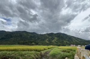 Hari Ini, Jambi Diperkirakan Bakal Diguyur Hujan