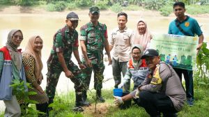 Peringati Hari Lingkungan Hidup Sedunia, PHR Zona 1 Tanam Lebih dari 4.000 Pohon