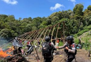 Polisi Musnahkan 25 Hektare Lahan Ganja, Pemiliknya Masih Berkeliaran