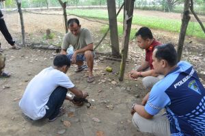 Penyelundupan Sabu ke Lapas Muara Tebo Berhasil Digagalkan, Begini Modusnya