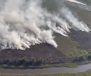 Sudah Empat Orang Jadi Tersangka Pembakaran Hutan dan Lahan