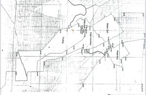 Perkumpulan Hijau Sebut Bupati Muaro Jambi Jadi Sumber Konflik Batas Desa