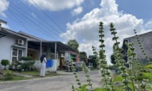 BMKG Prakirakan Cuaca Kota Jambi Cerah Berawan Hari Ini