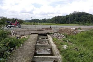 Proyek Jalan Bandara Depati Parbo Disoal, Ratusan Hektar Sawah di Tanco Terancam Fuso