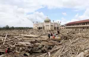 Kemenhut: Masyarakat Boleh Manfaatkan Kayu Hanyut Untuk Rehabilitasi Pasca Bencana