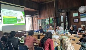 Bencana Mengancam, Jambi Kehilangan 2,5 Juta Hektare Hutan Dalam 52 Tahun Terakhir