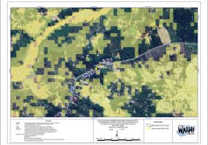 Walhi Jambi Soroti Delapan Nyawa Melayang di Lubang Tambang Emas Ilegal