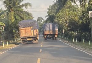 Pemkab Batang Hari Dorong Percepatan Pembangunan Jalan Khusus
